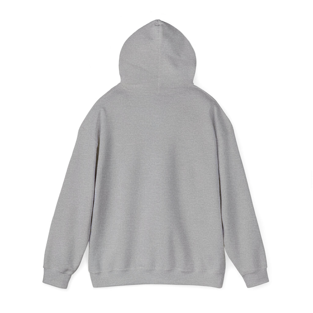 Fiji Noble Banner Blue Hoodie – Vintage Crest Pullover