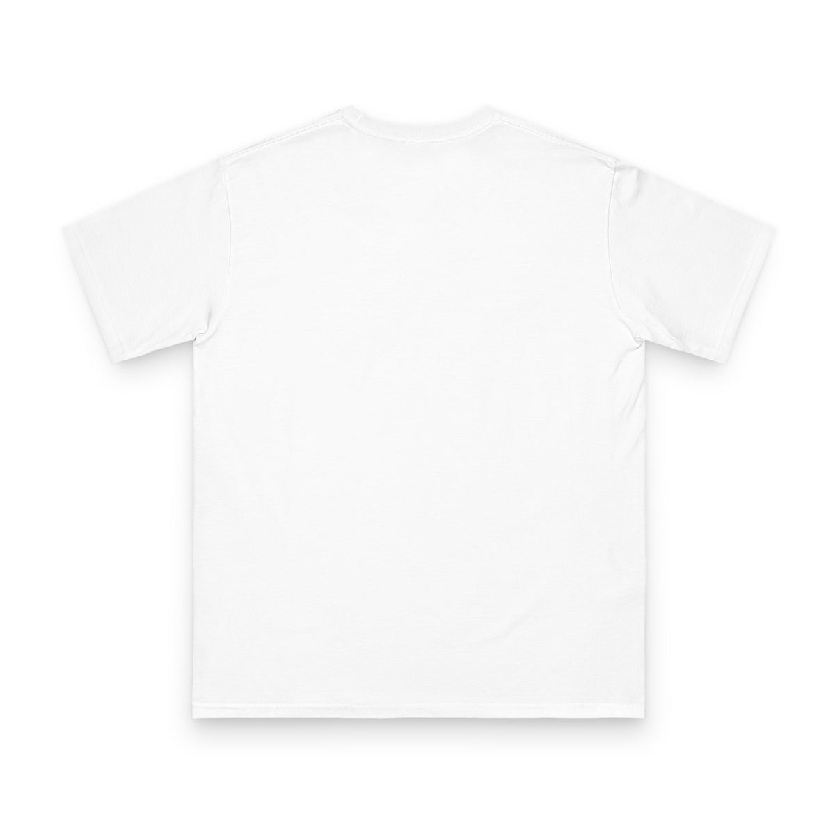 Organic Unisex Classic T-Shirt