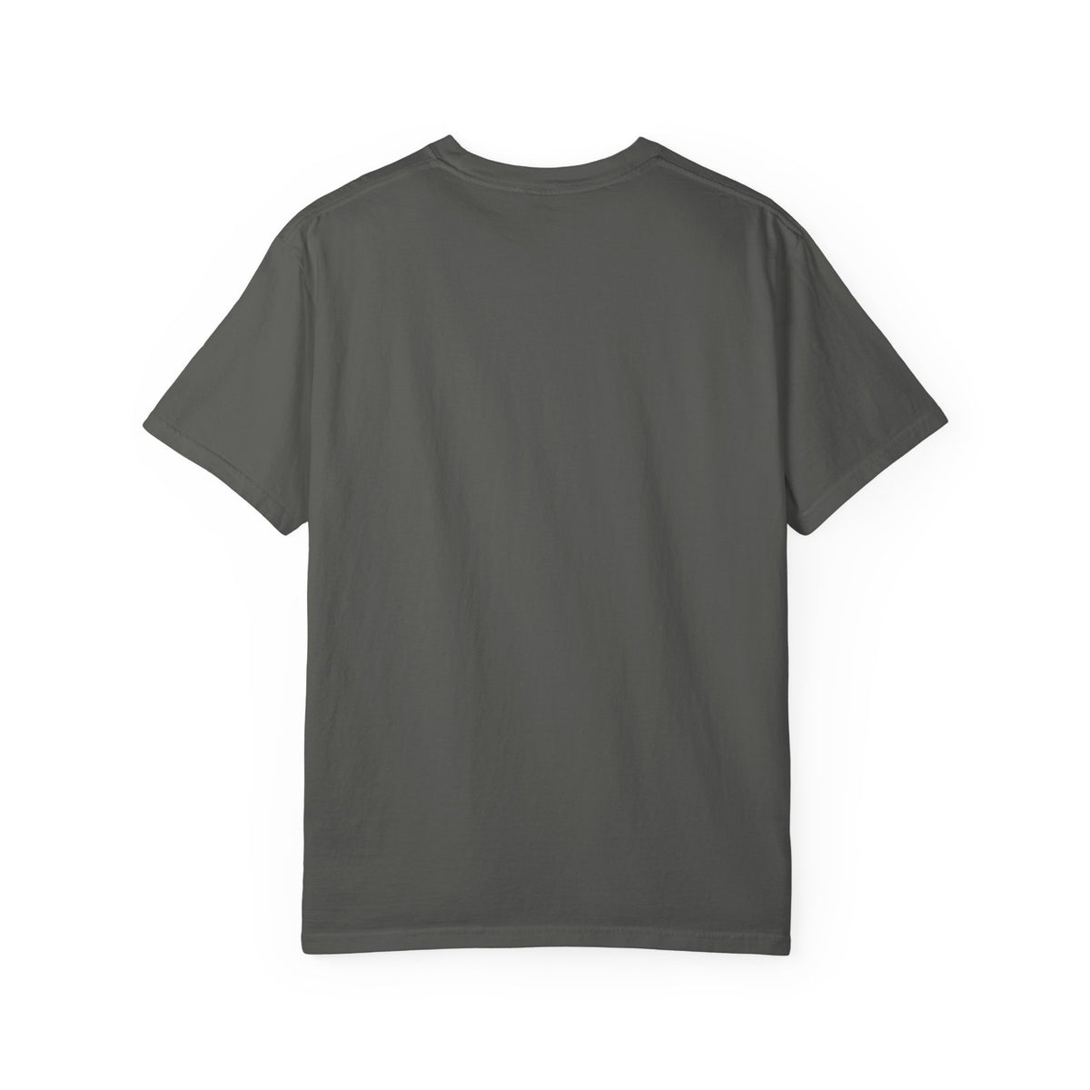 Christian Victory T-Shirt — "God Never Promised Victory Without a Fight" Inspirational Tee