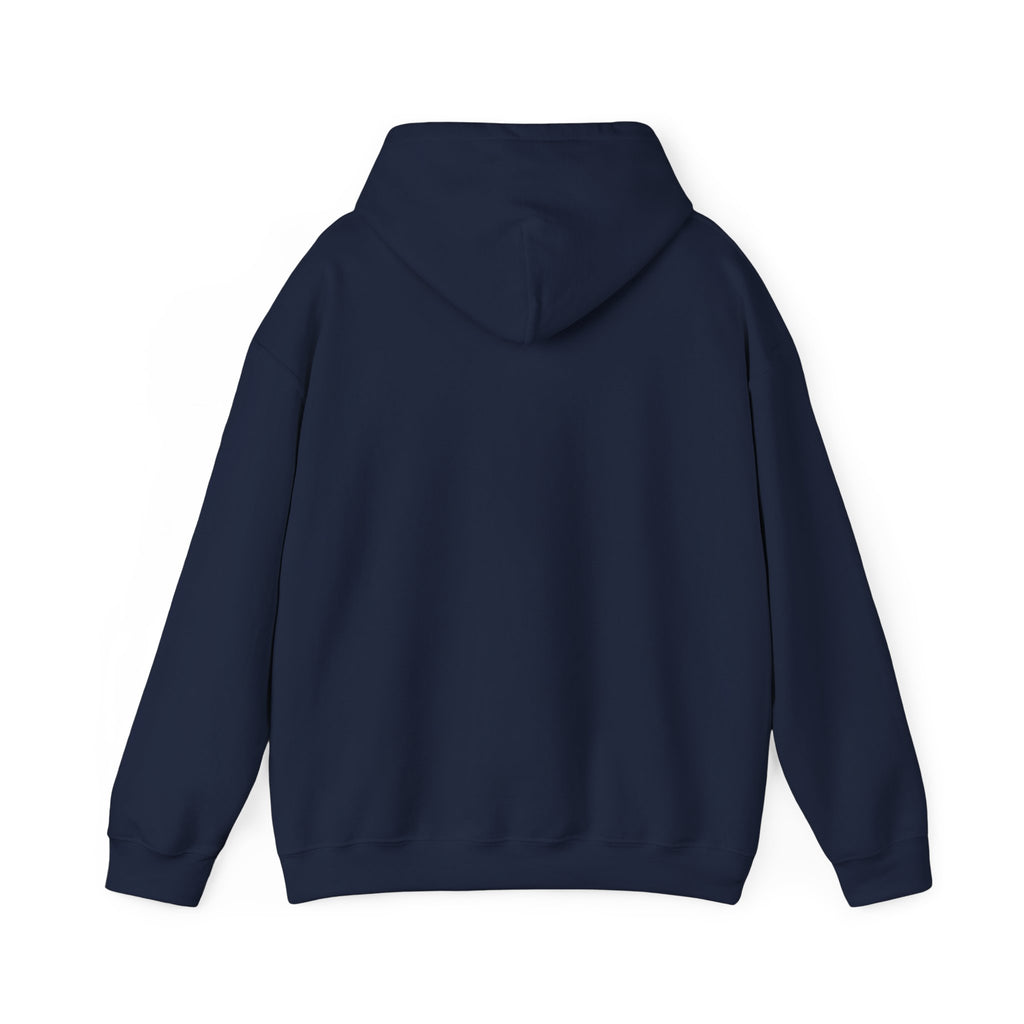 Fiji Noble Banner Blue Hoodie – Vintage Crest Pullover